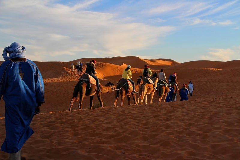 Desert Expeditions